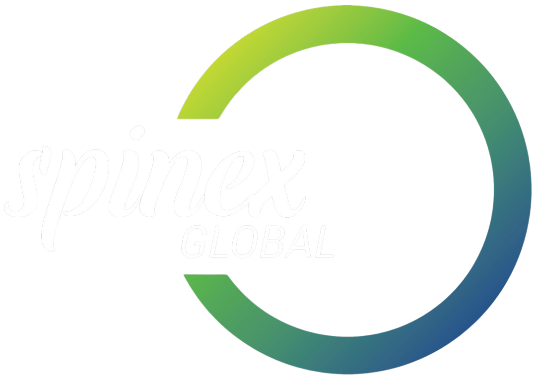 Social Media Marketing (Smm) Services 38 Spinex